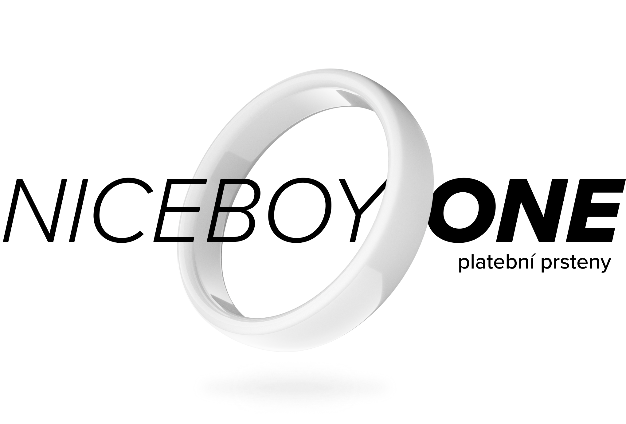 niceboy one