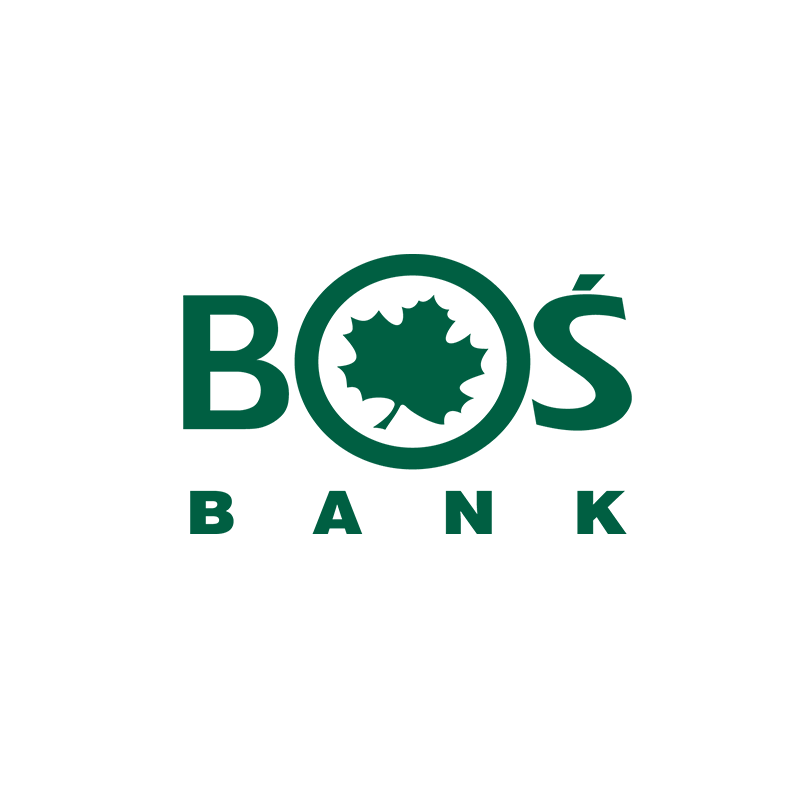 niceboy one
