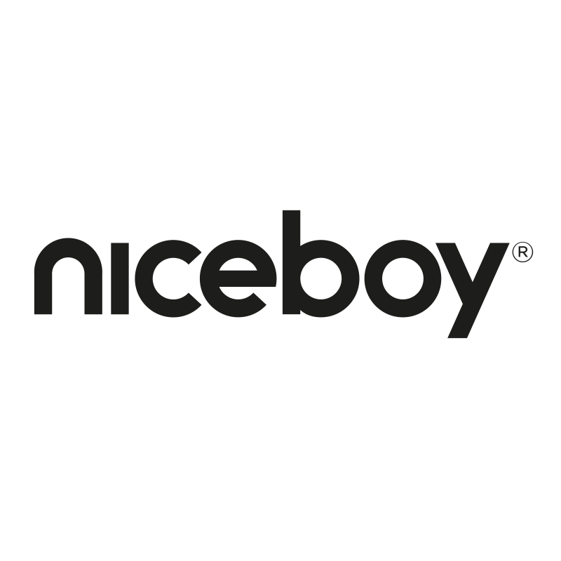 niceboy one